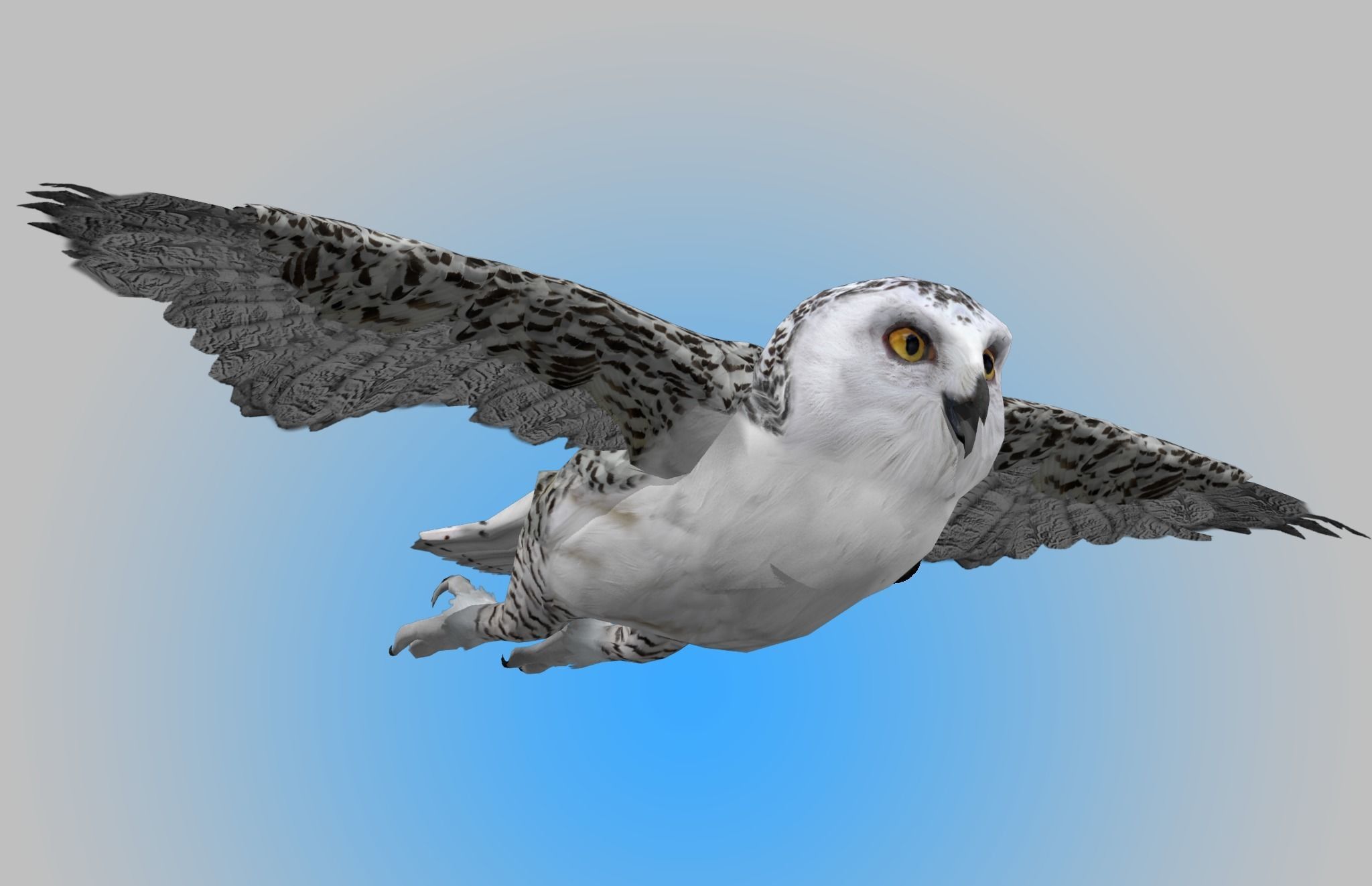 Snowy White Owl Animated Low-poly 3D model_1