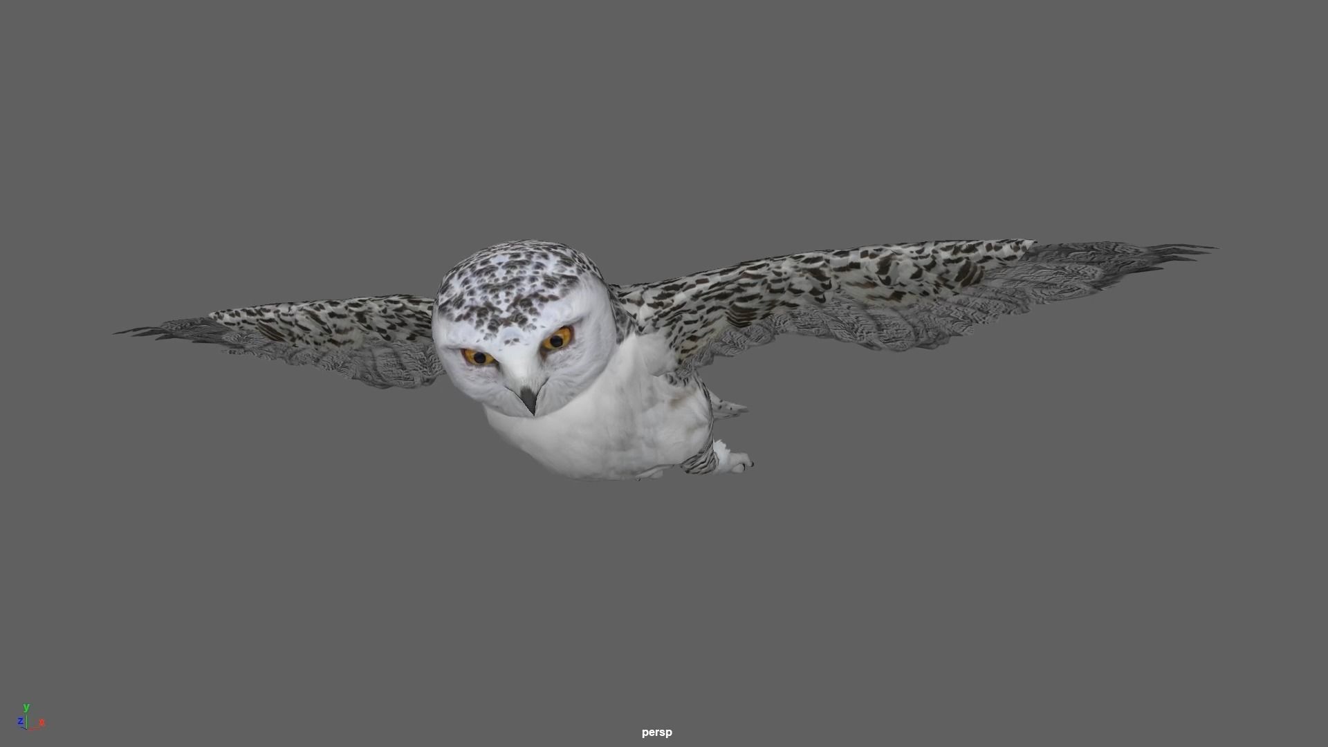 Snowy White Owl Animated Low-poly 3D model_14