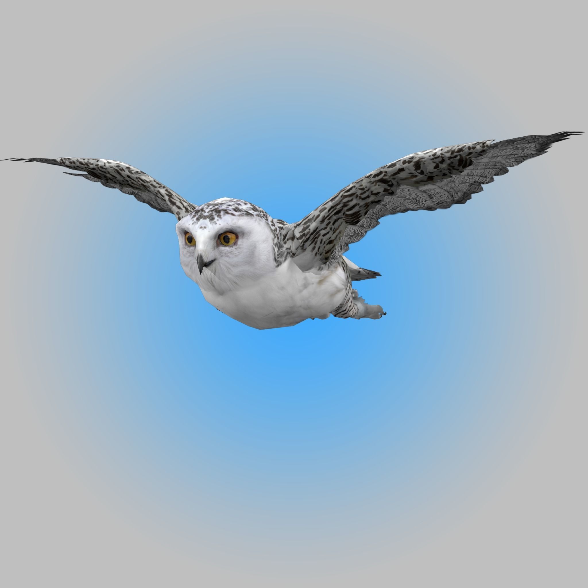 Snowy White Owl Animated Low-poly 3D model_7