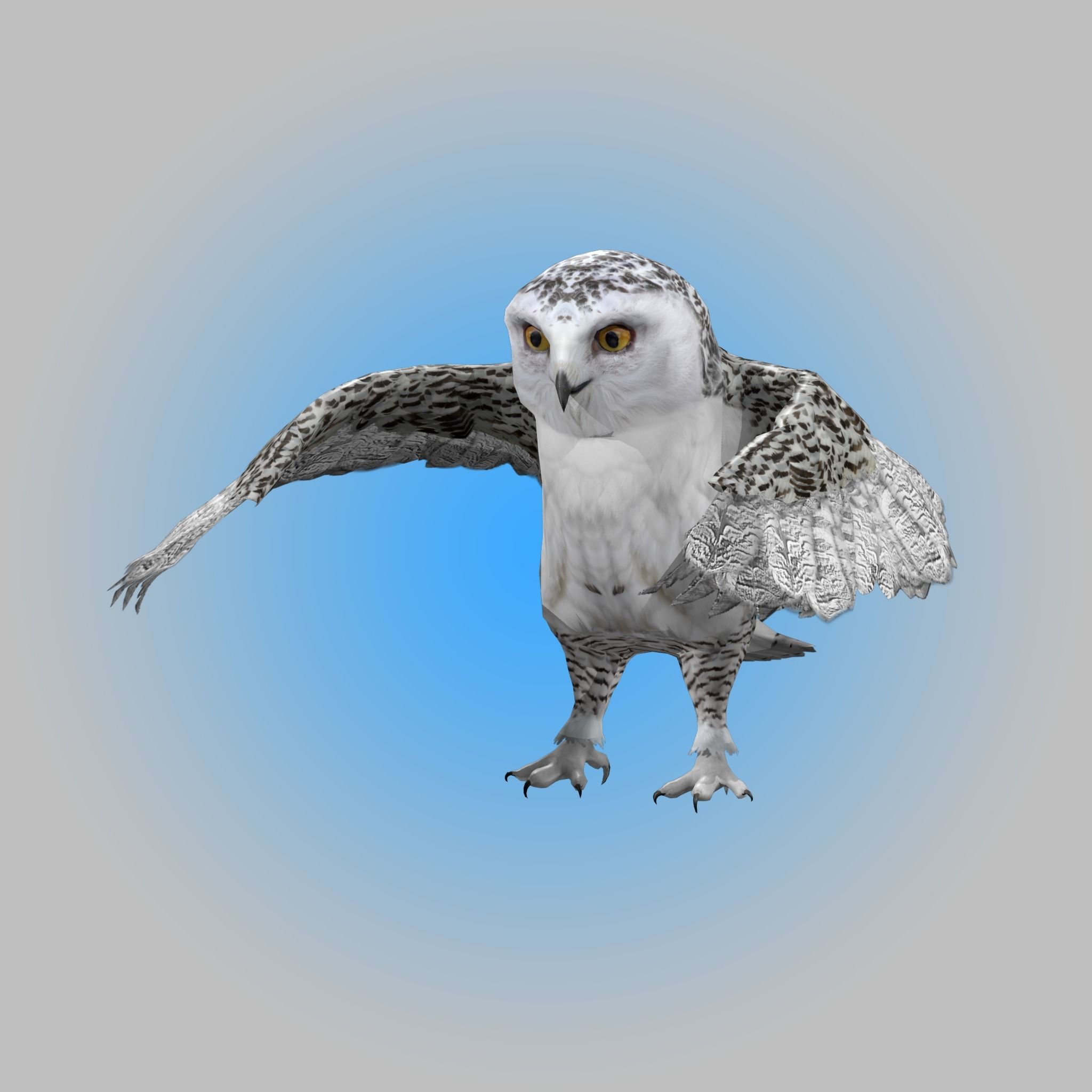 Snowy White Owl Animated Low-poly 3D model_5
