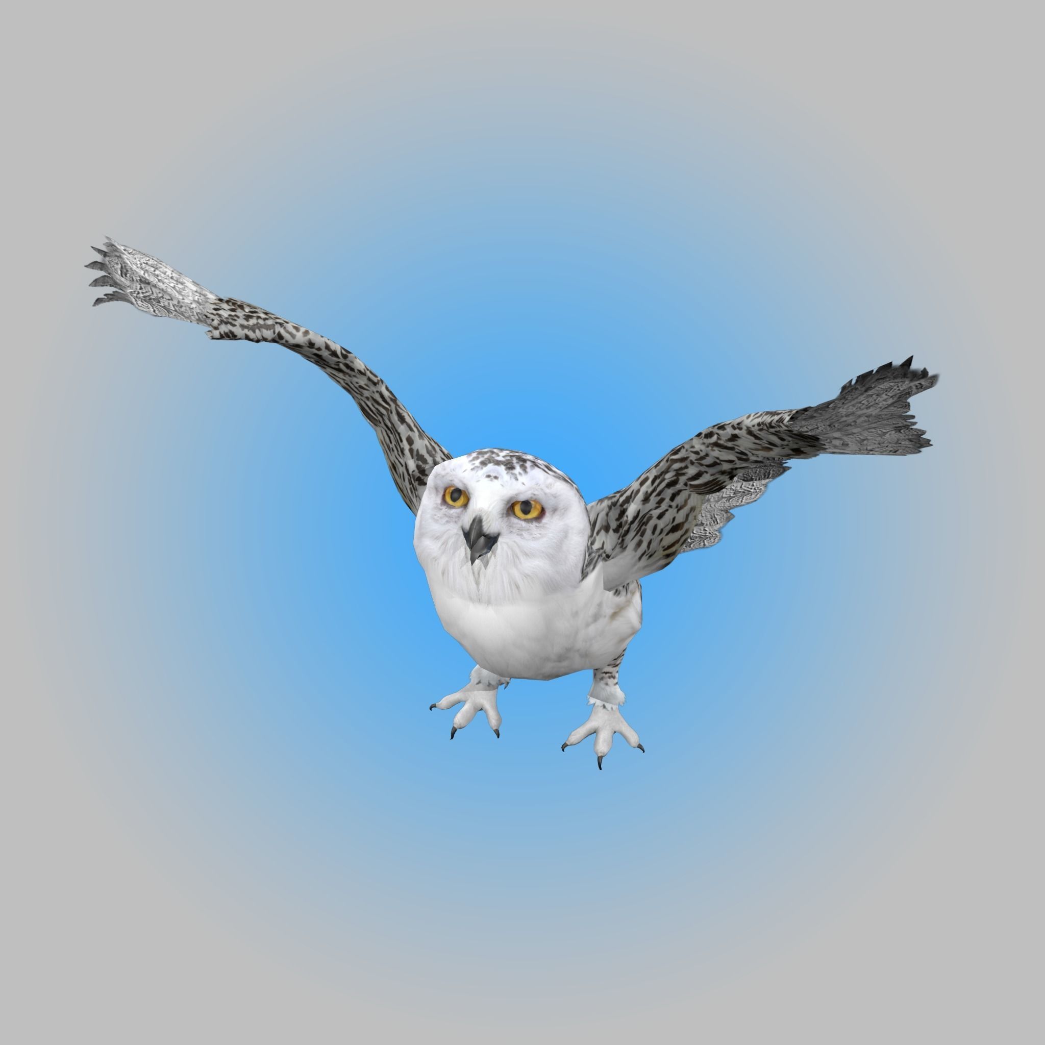 Snowy White Owl Animated Low-poly 3D model_6