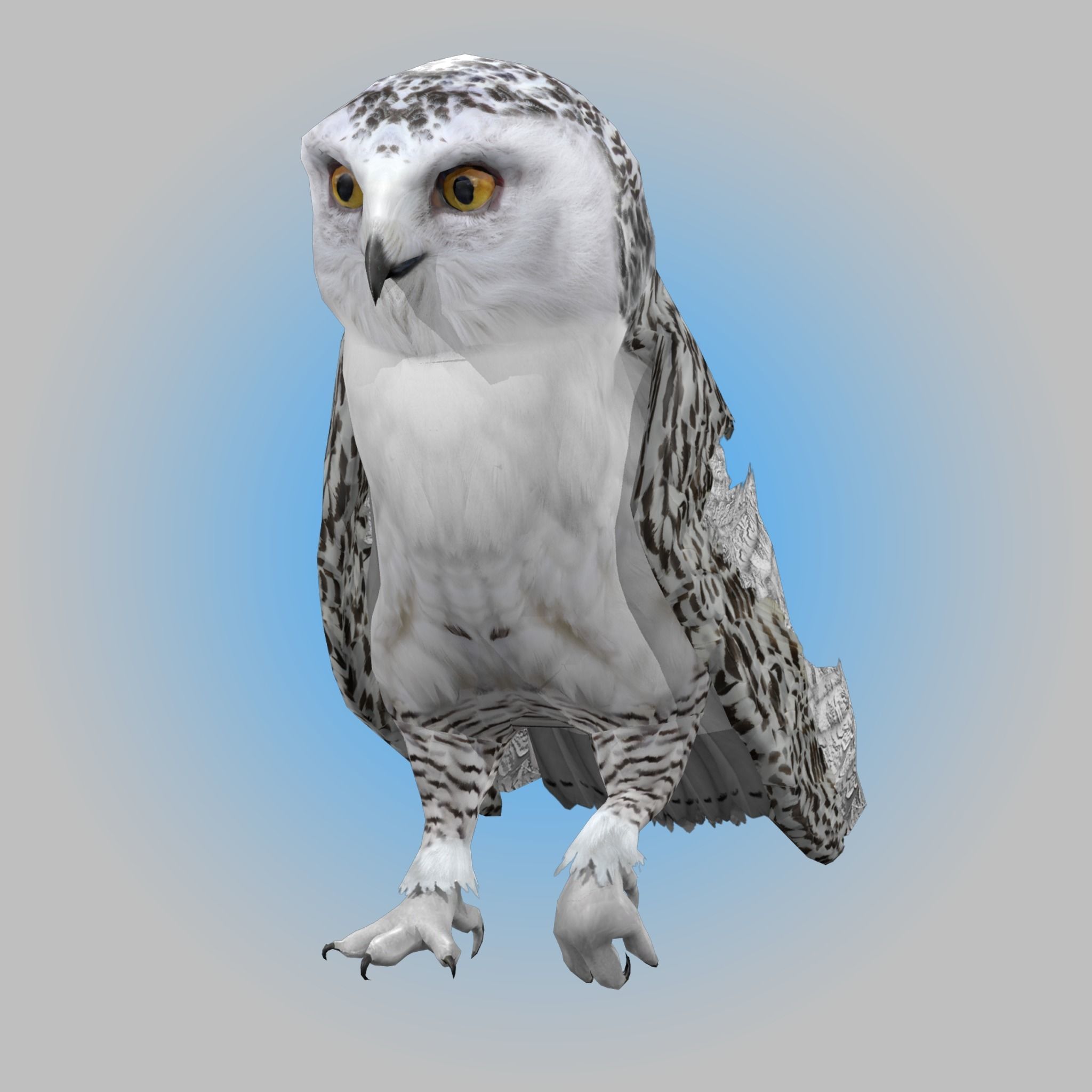 Snowy White Owl Animated Low-poly 3D model_3