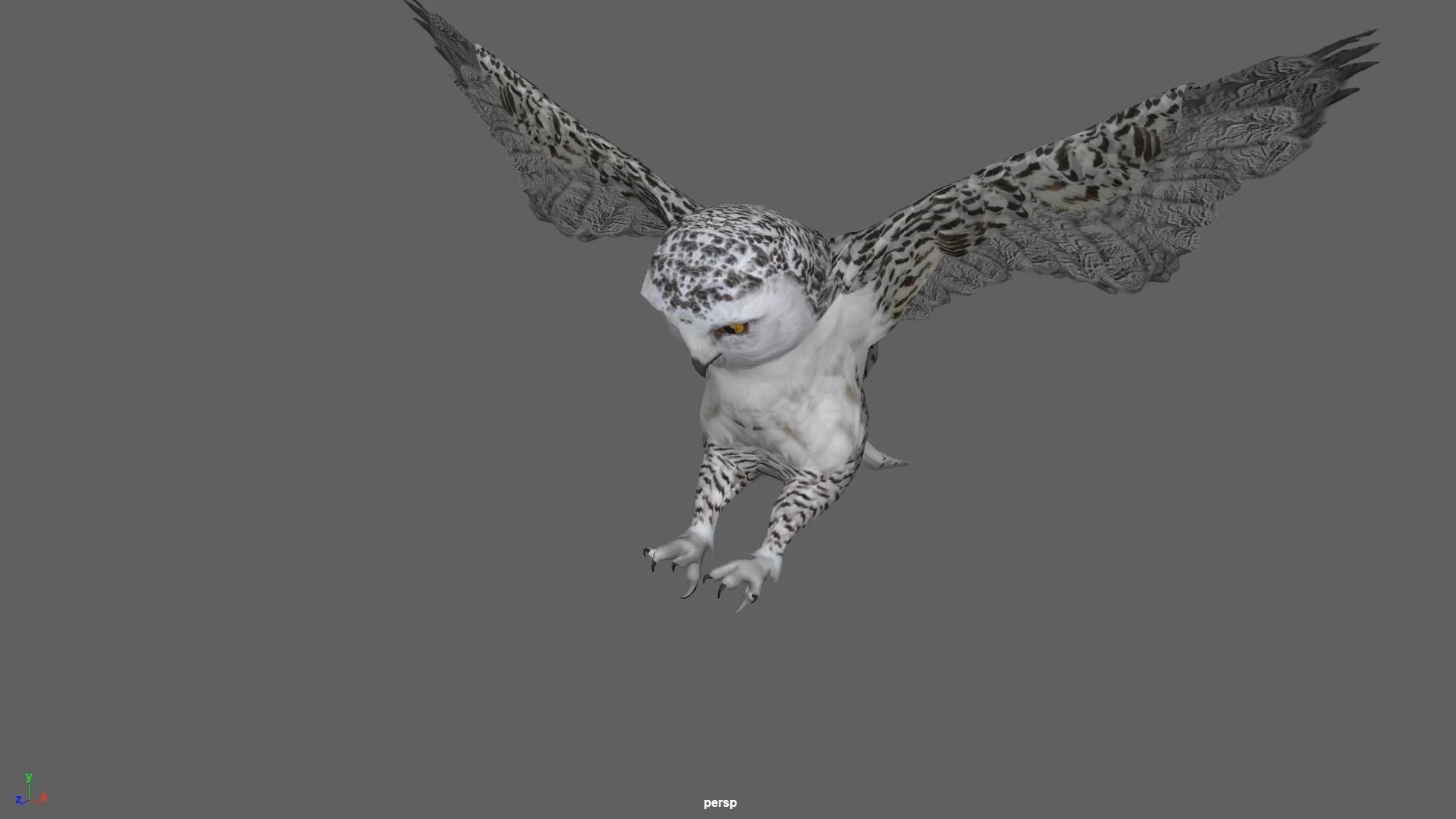 Snowy White Owl Animated Low-poly 3D model_17