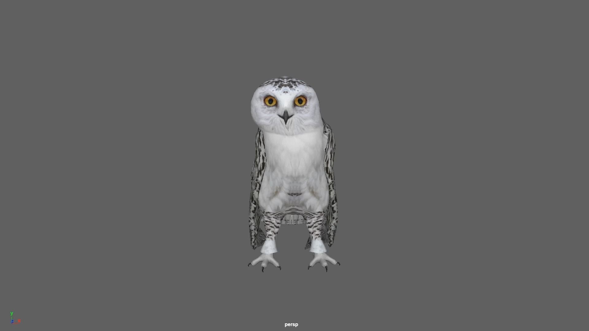 Snowy White Owl Animated Low-poly 3D model_18