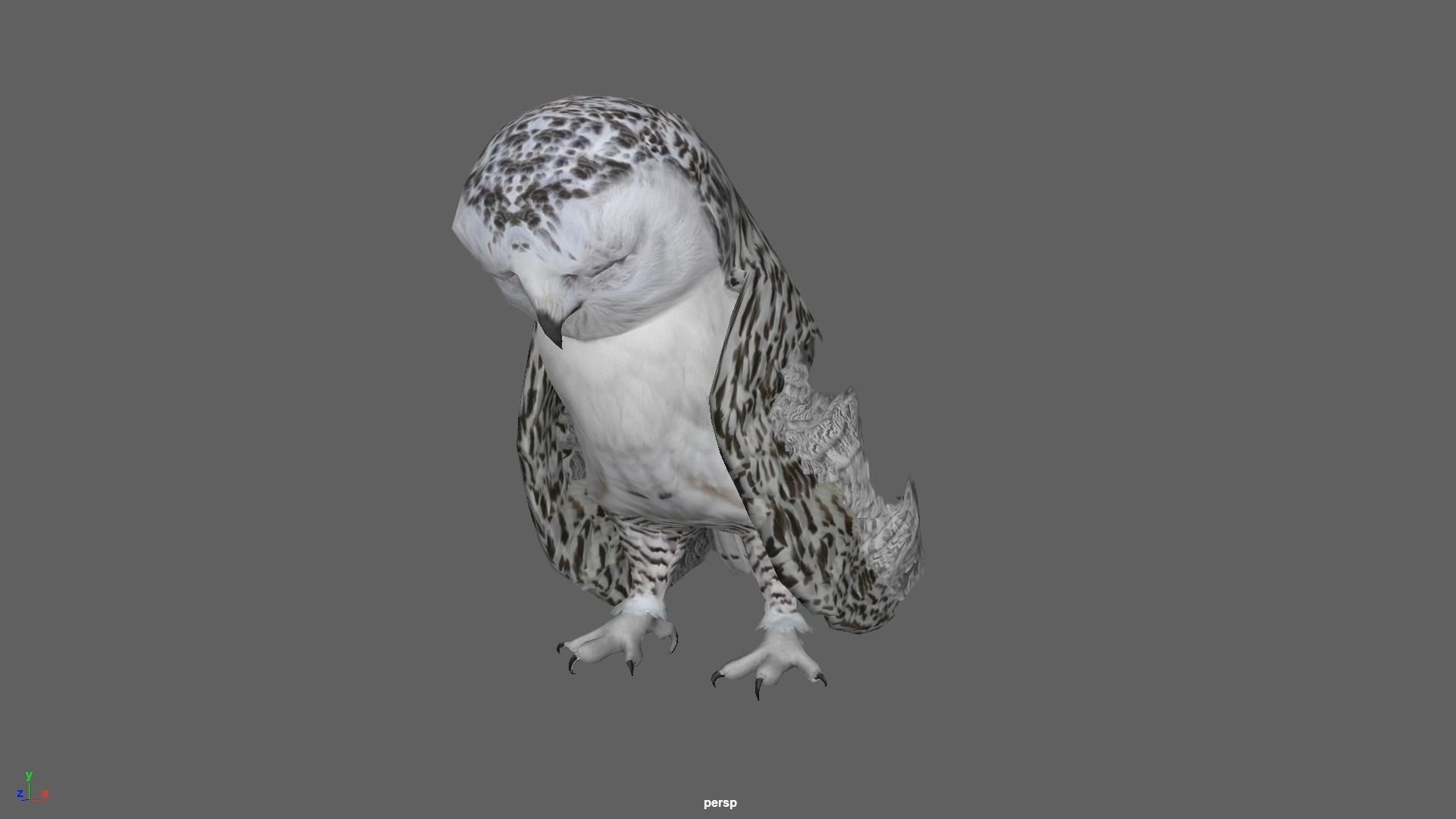 Snowy White Owl Animated Low-poly 3D model_22