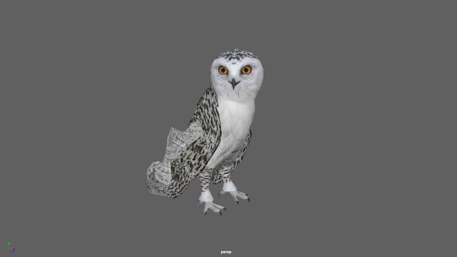 Snowy White Owl Animated Low-poly 3D model_10