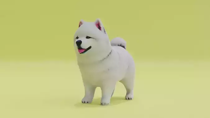 Samoyed Dog Pet Cute Puppy
