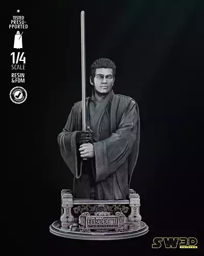 STAR WARS Young Anakin Bust Tested for 3D printing 3D print model