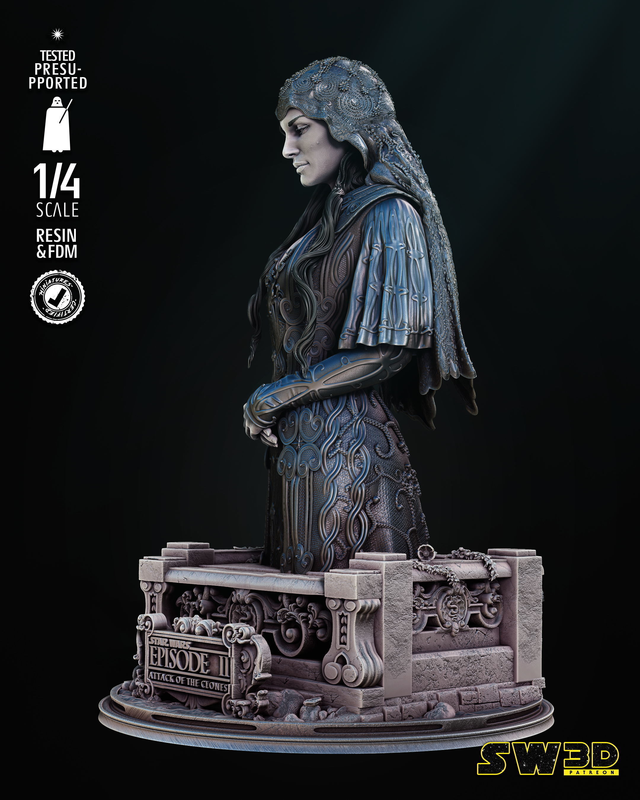 STAR WARS Padme Bust Tested for 3D printing 3D print model_19