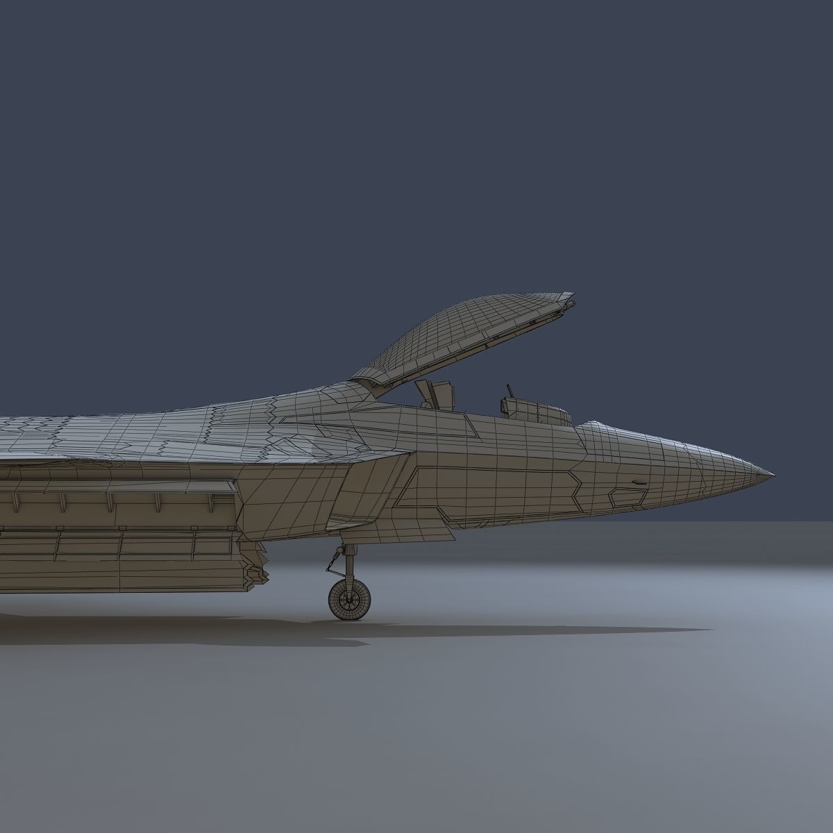 F 22 Raptor Low-poly 3D model_21