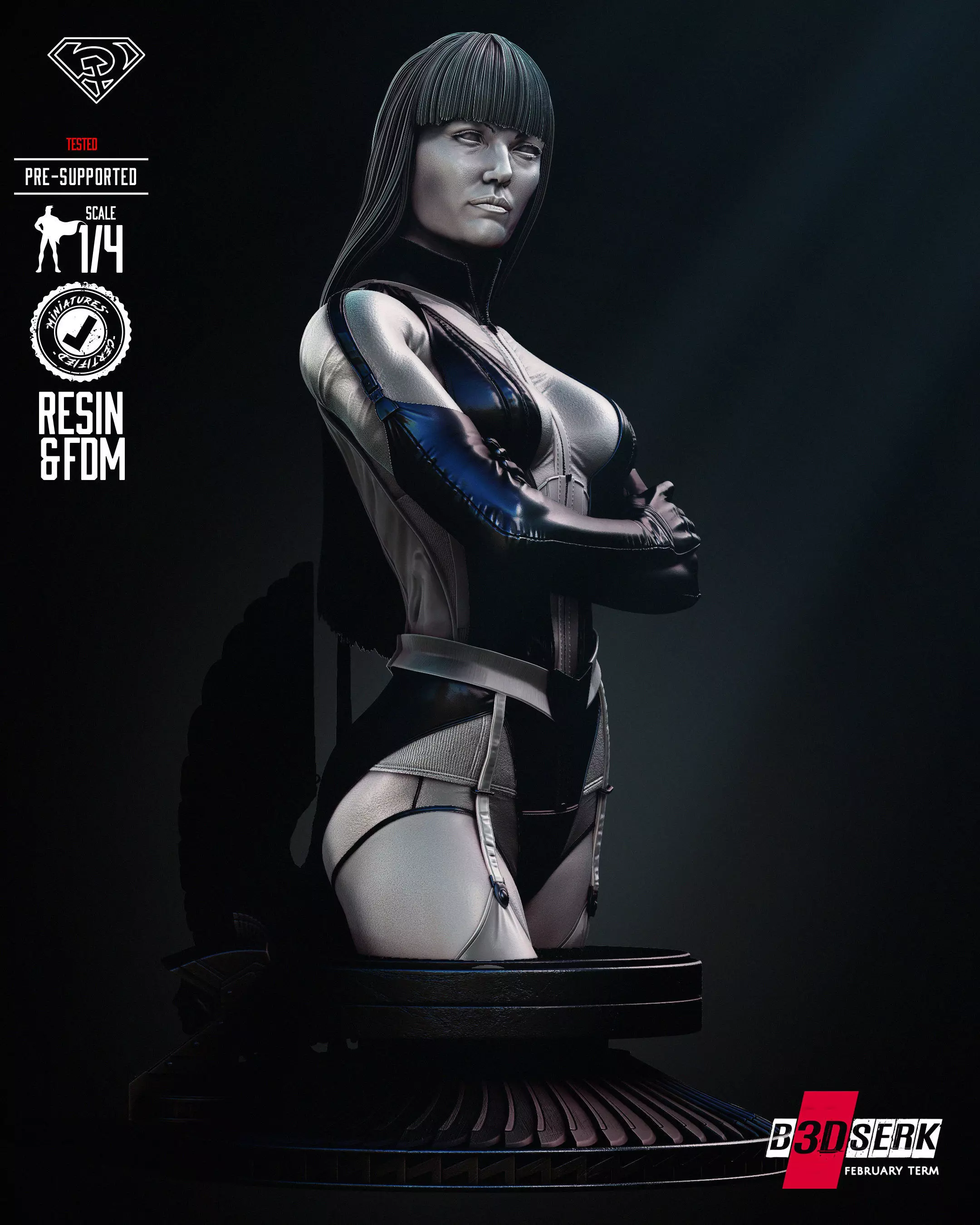 B3DSERK Silk Spectre Bust Tested for 3D printing 3D print model