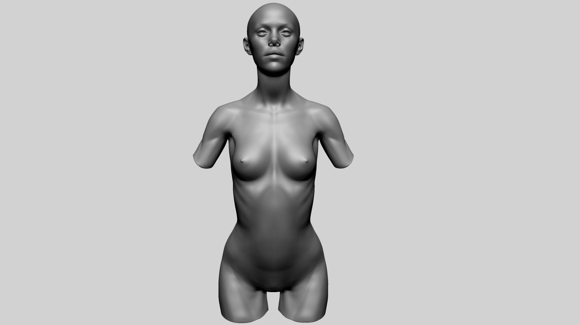 Female Upper Body 3D model_2