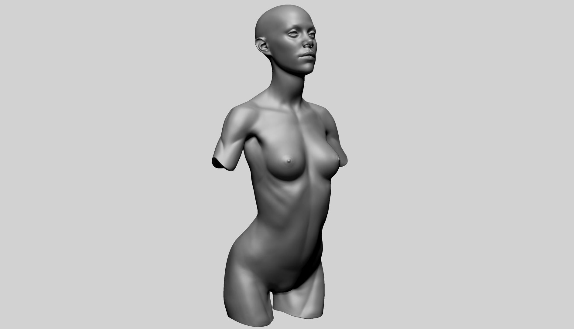 Female Upper Body 3D model_3
