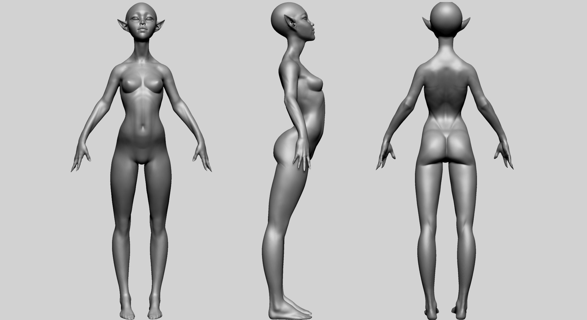 Stylized Female Anatomy C 3D model_1