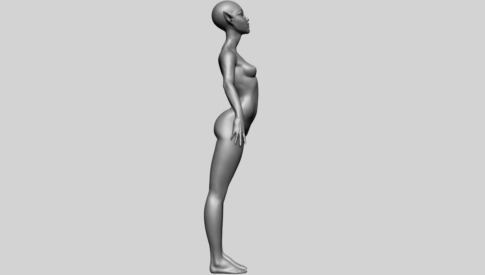 Stylized Female Anatomy C 3D model_4