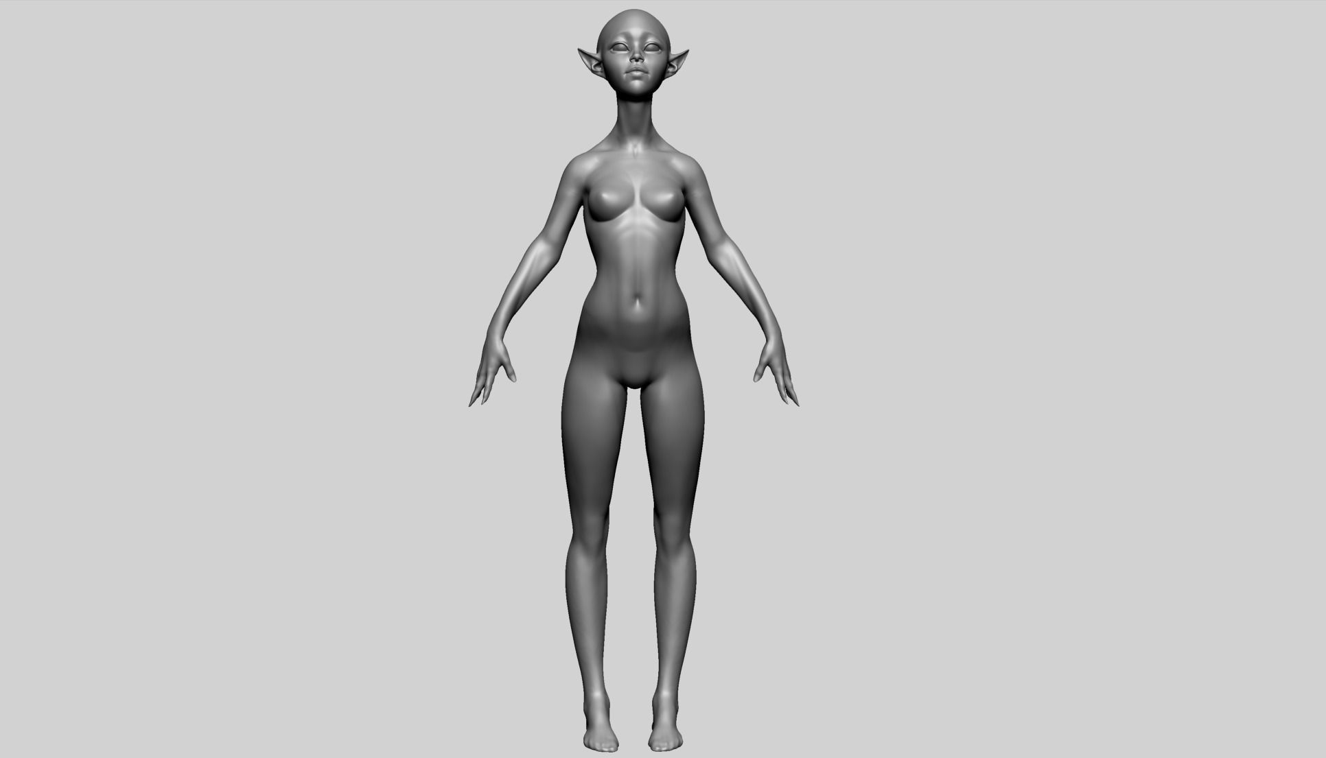 Stylized Female Anatomy C 3D model_2