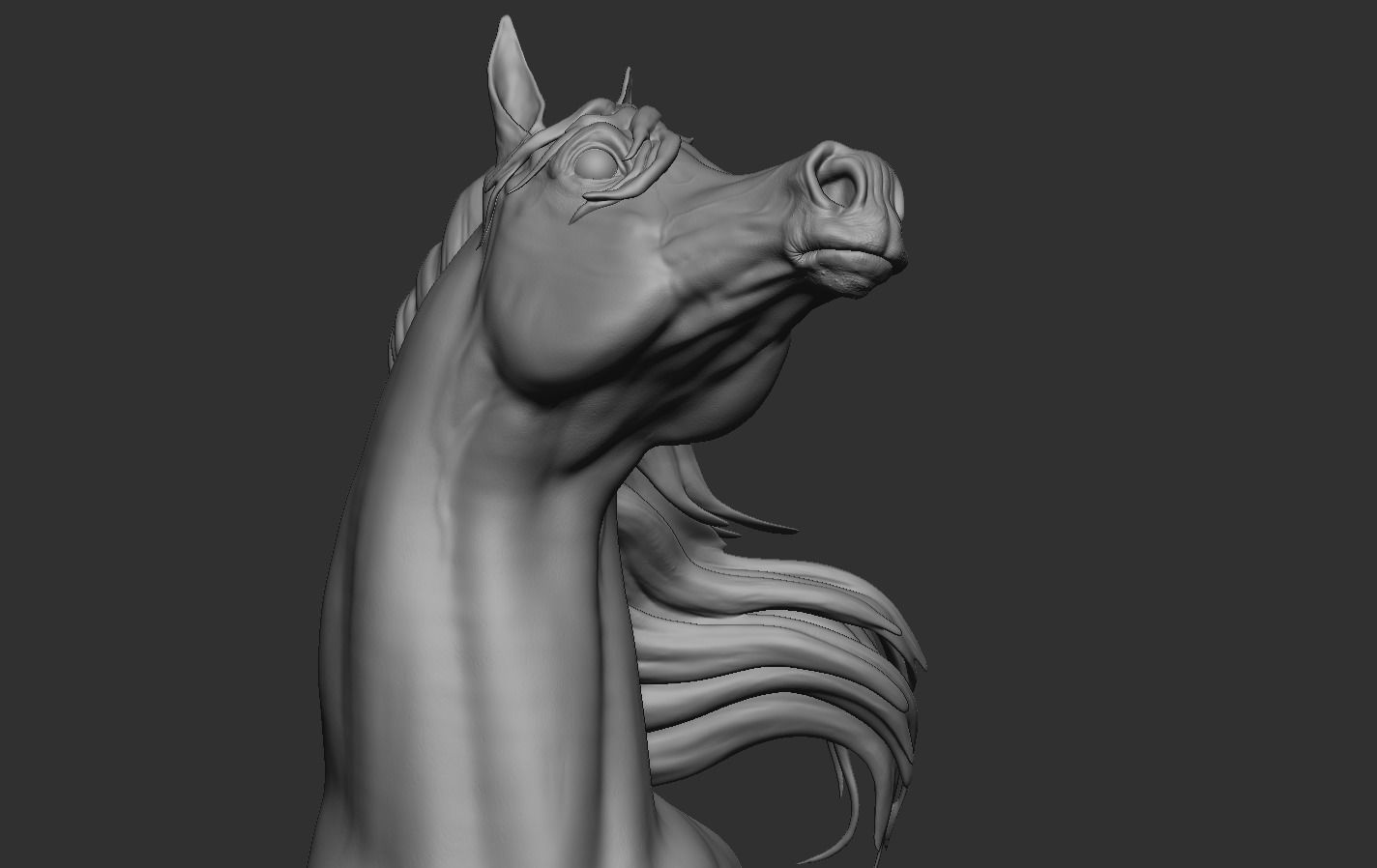 Arabian Horse Head 3D print model_10