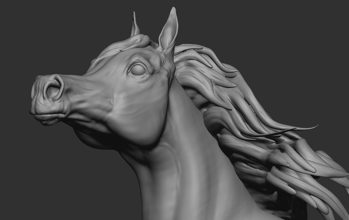 Arabian Horse Head 3D print model_11