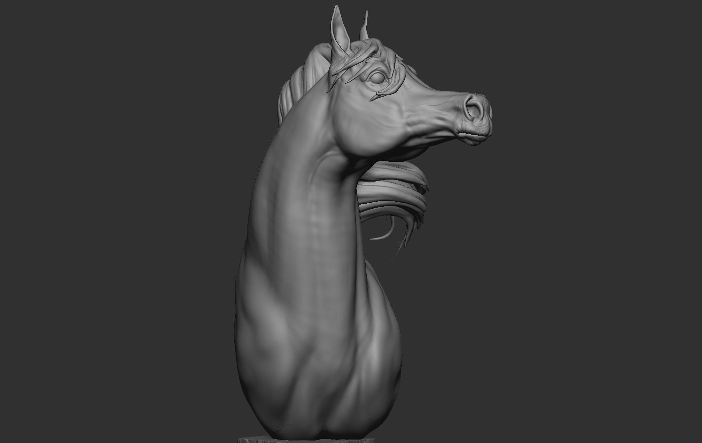 Arabian Horse Head 3D print model_14