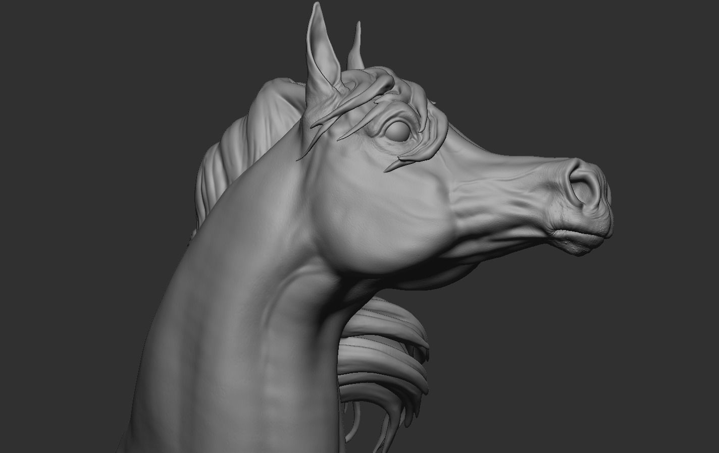 Arabian Horse Head 3D print model_12