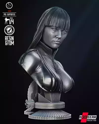 B3DSERK Silk Spectre Portrait Bust Tested for 3D printing
