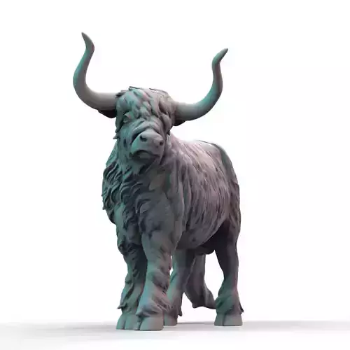 Highland Cow