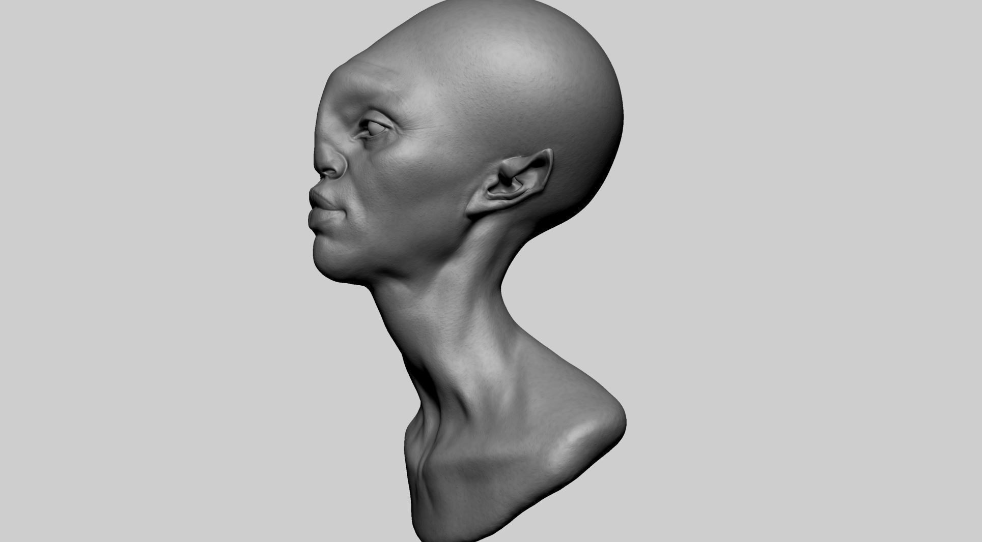 Fantasy Female Head Z 3D model_6