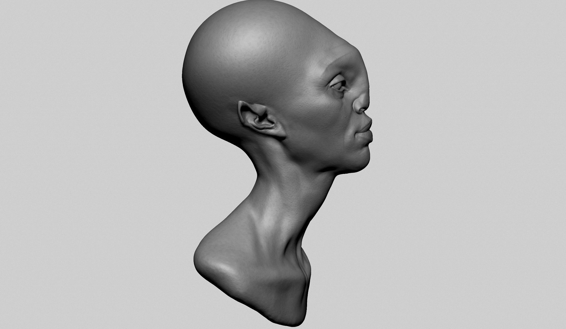 Fantasy Female Head Z 3D model_2