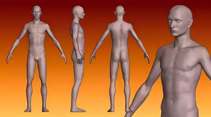 Male Ectomorph Base Mesh