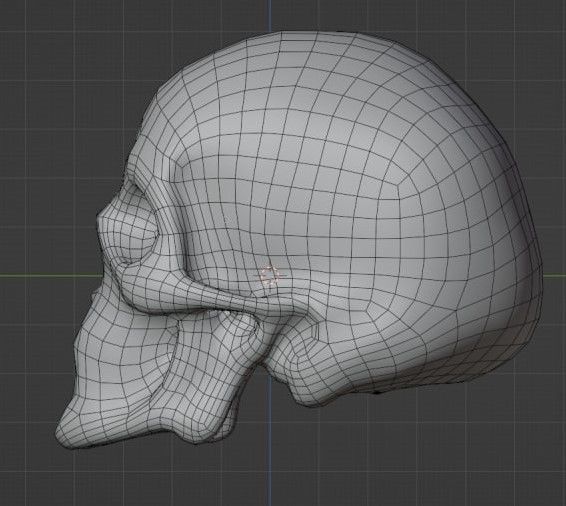 Human skull 3D model_11