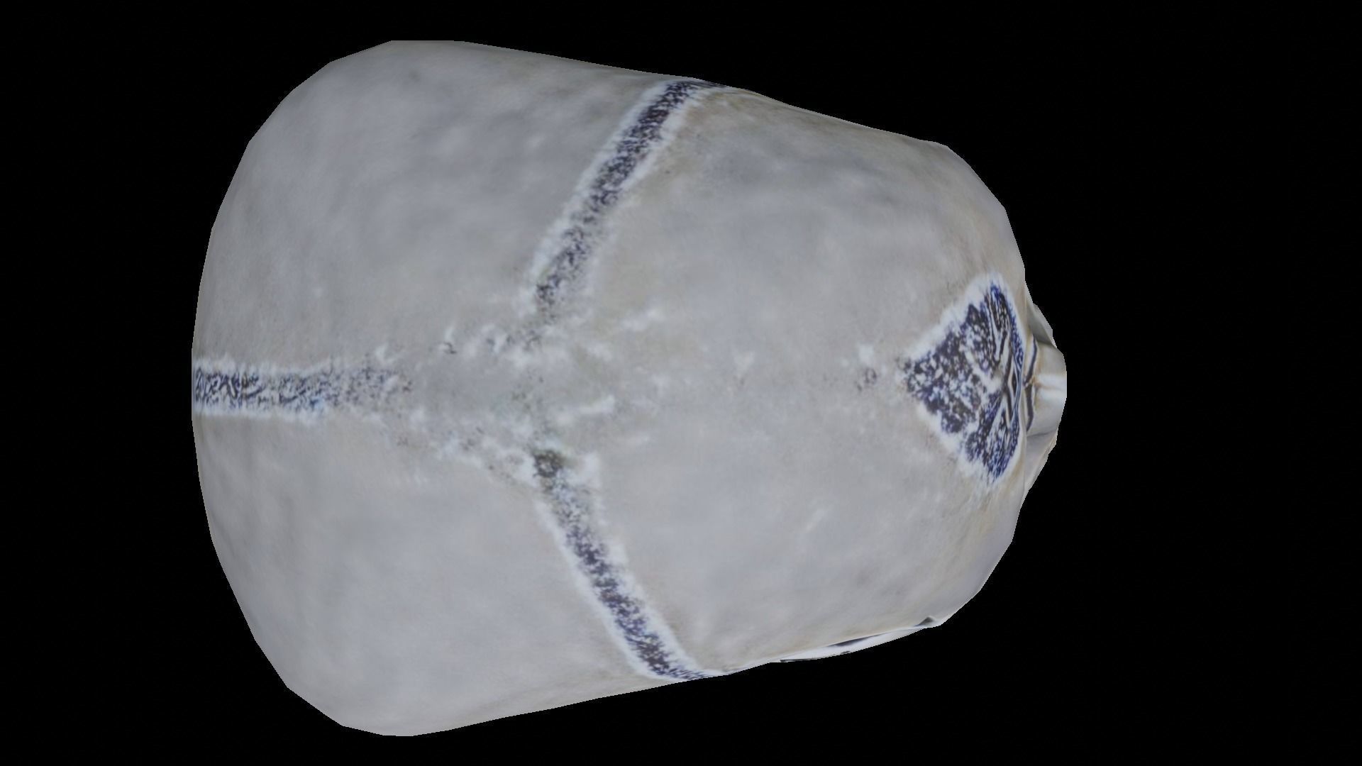 Human skull 3D model_5