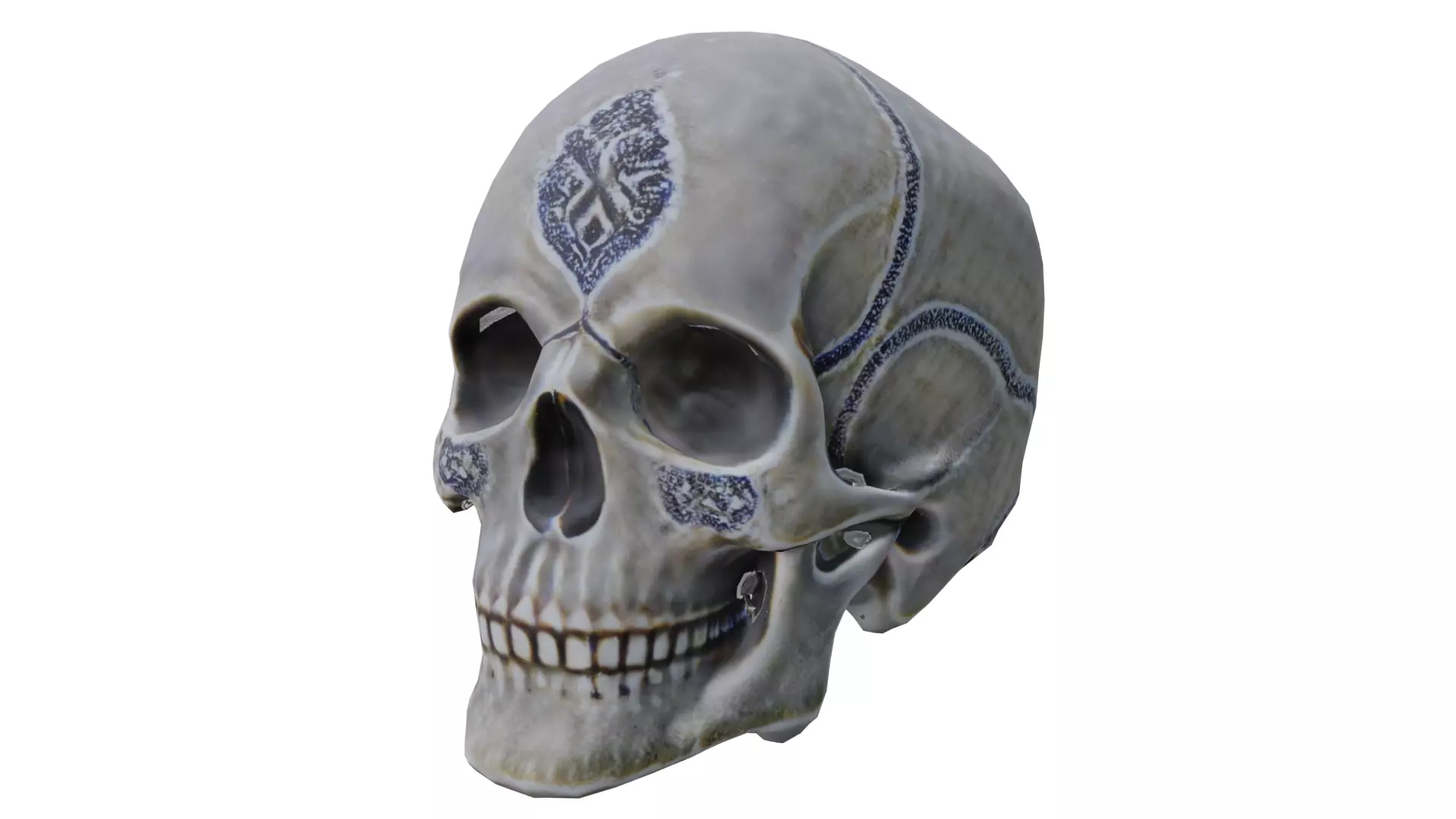 Human skull 3D model_0