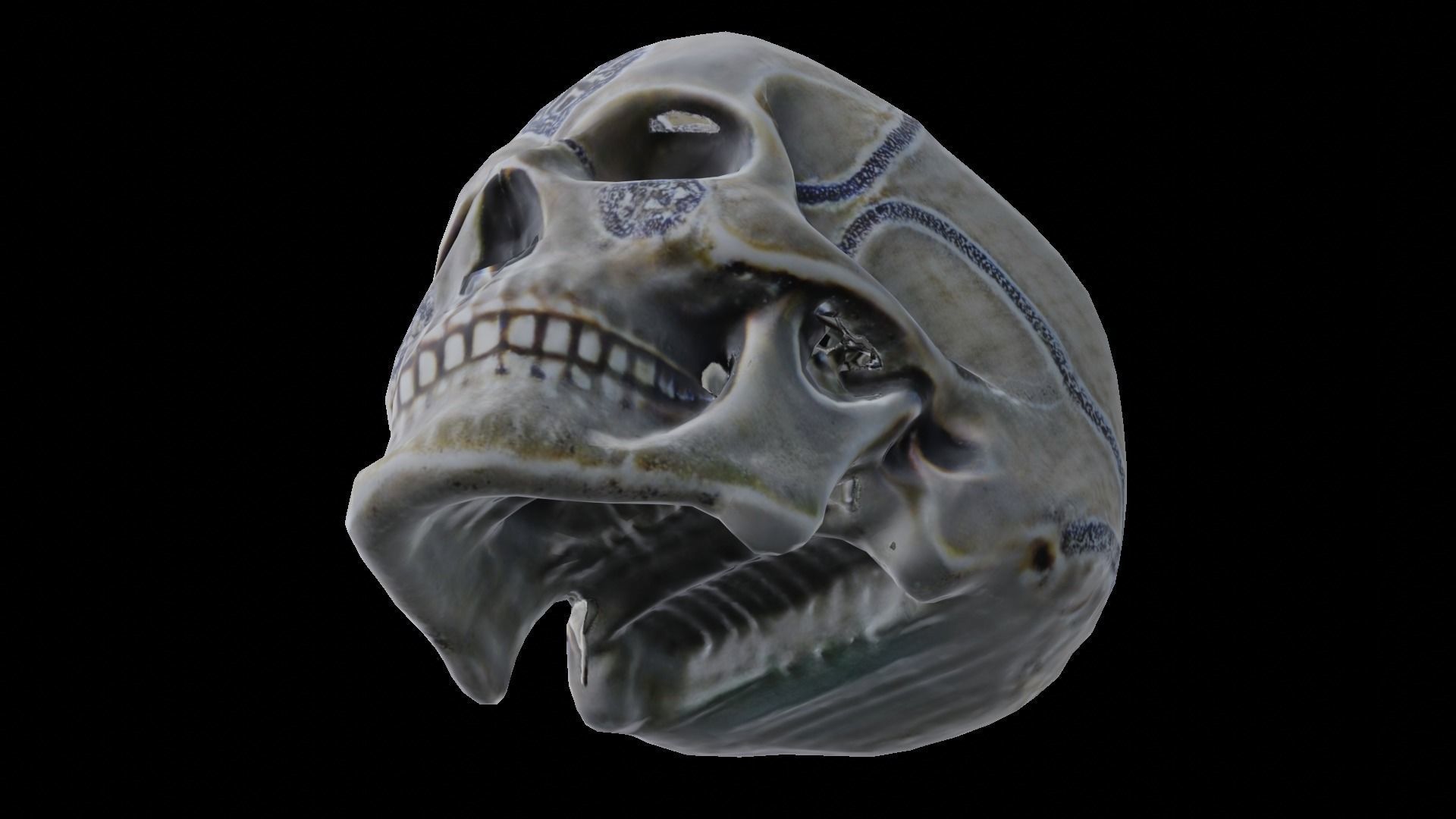 Human skull 3D model_2