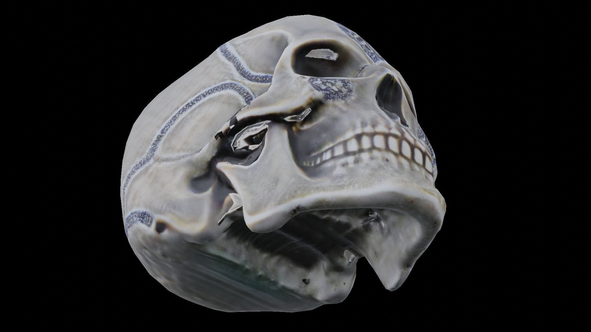 Human skull 3D model_4