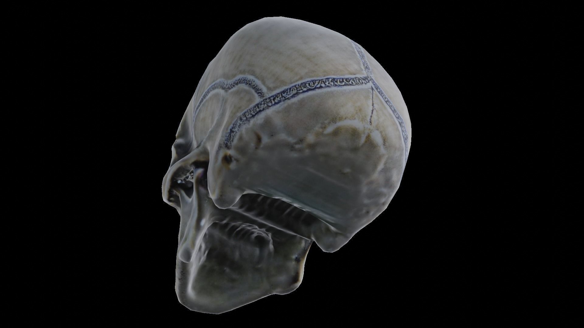 Human skull 3D model_20