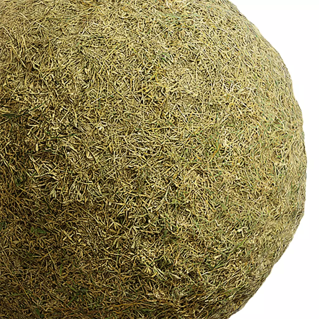 Grass Seamless Texture 2K - EXR 5 - JPG 5 Texture Texture_0