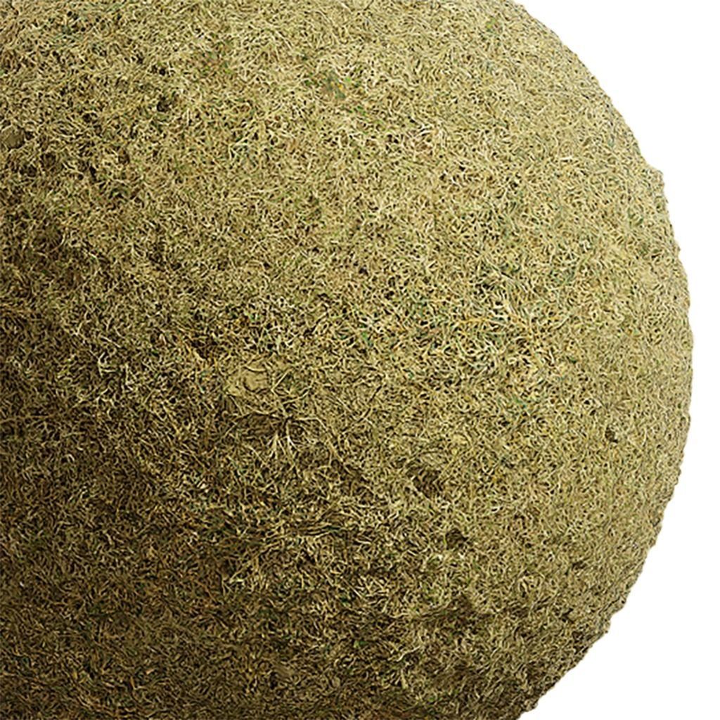 Grass Seamless Texture 2K - EXR 5 - JPG 5 Texture Texture_1
