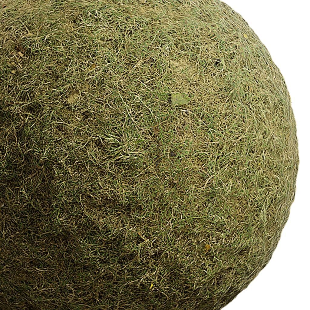 Grass Seamless Texture 2K - EXR 5 - JPG 5 Texture Texture_2