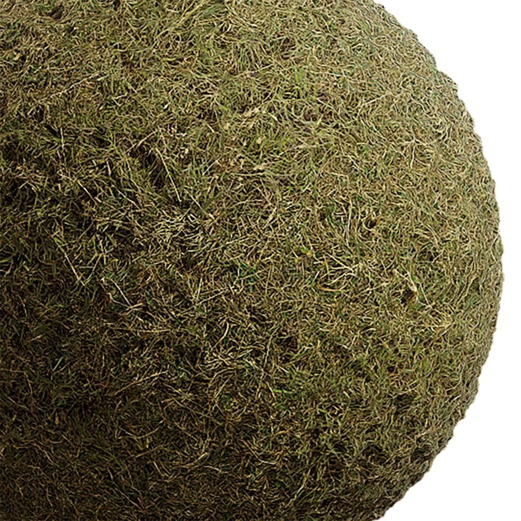 Grass Seamless Texture 2K - EXR 5 - JPG 5 Texture Texture_4