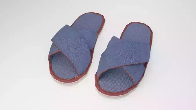 Blue Slippers