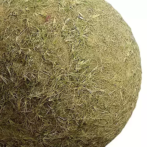 Grass Seamless Texture 2K - EXR 5 - JPG 5 Texture