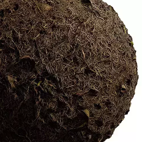 Grass Seamless Texture 2K - EXR 5 - JPG 5 Texture