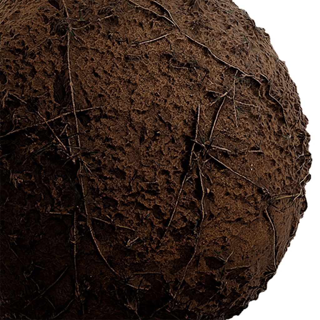 Grass Seamless Texture 2K - EXR 5 - JPG 5 Texture Texture_4