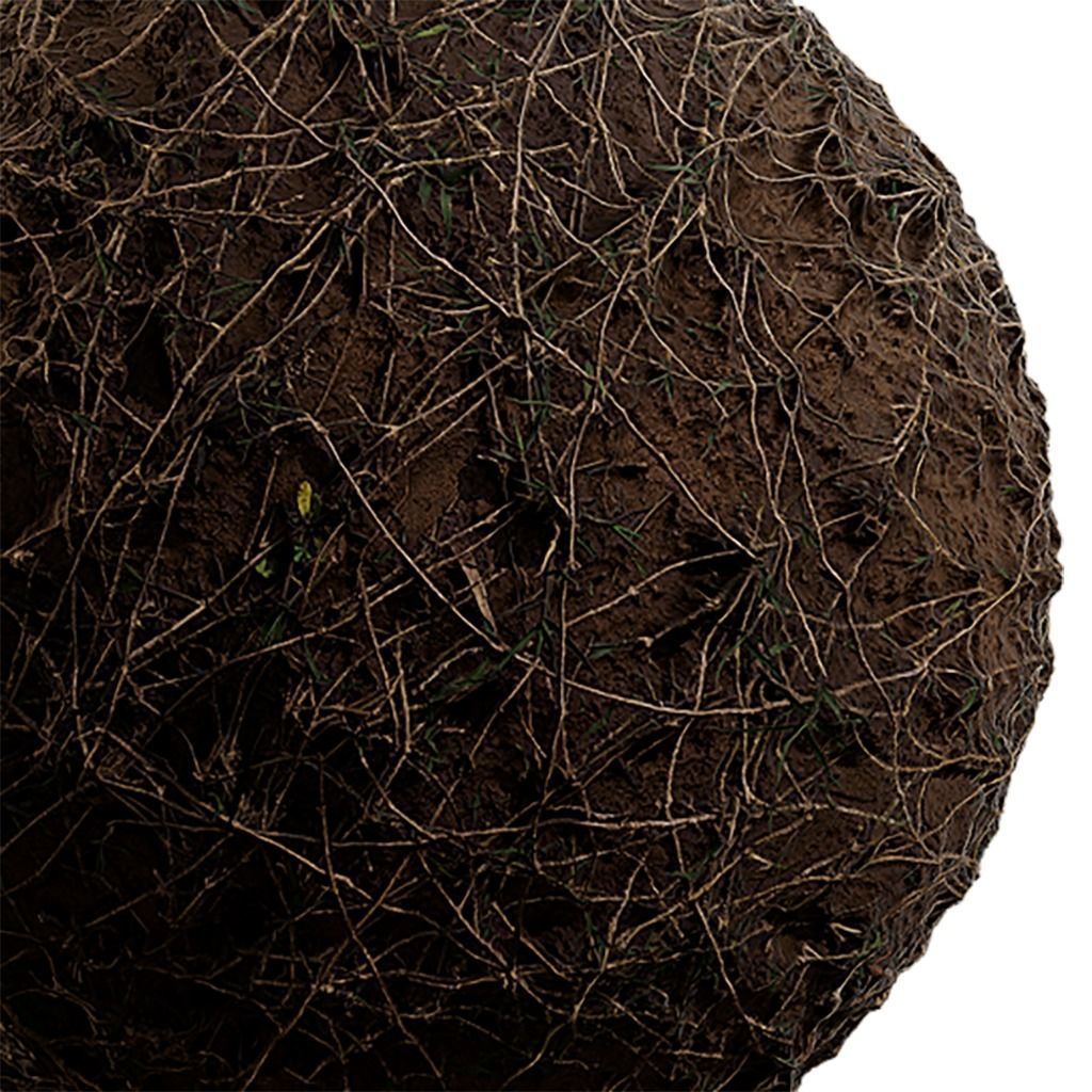 Grass Seamless Texture 2K - EXR 5 - JPG 5 Texture Texture_1