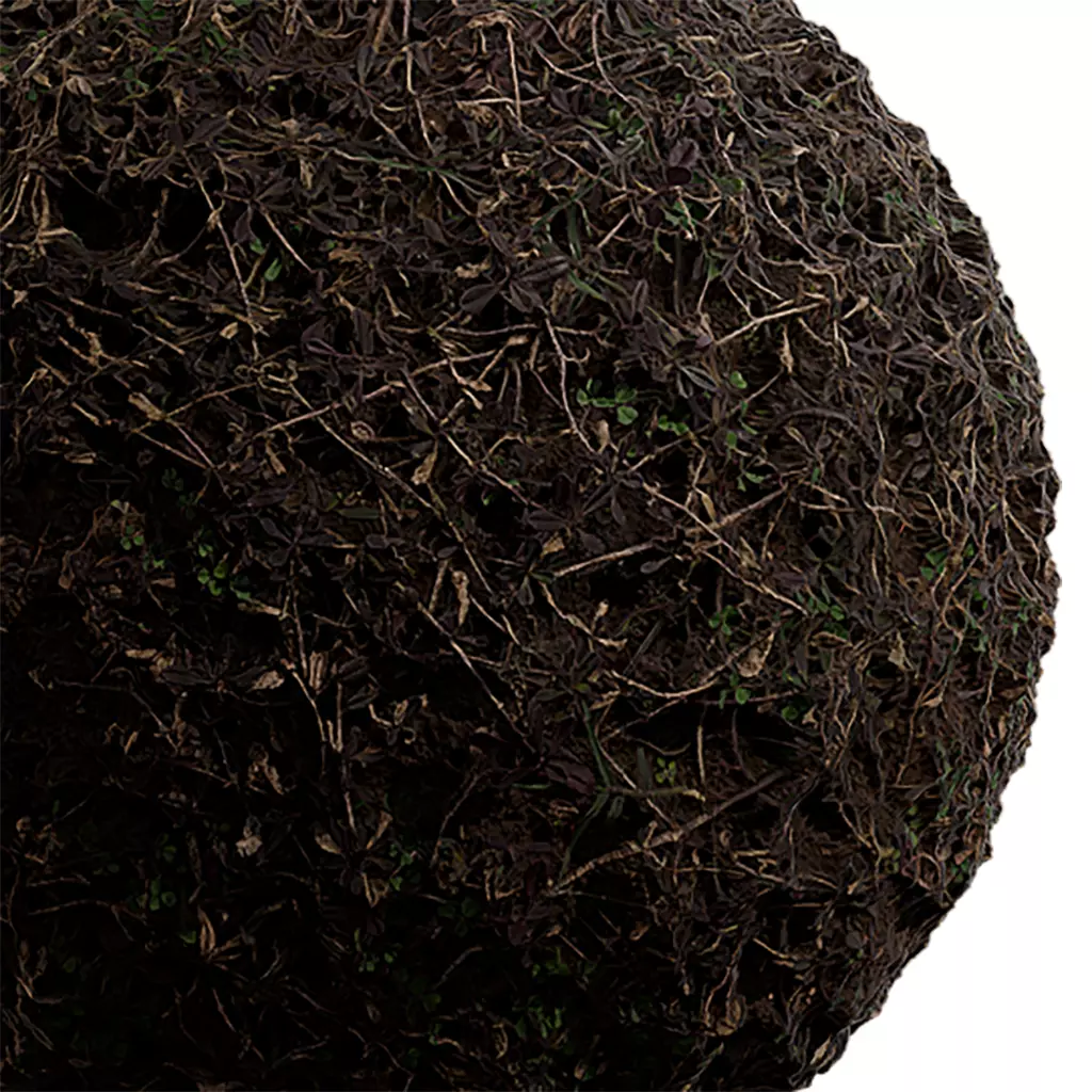 Grass Seamless Texture 2K - EXR 5 - JPG 5 Texture Texture_0