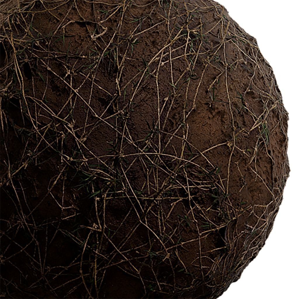 Grass Seamless Texture 2K - EXR 5 - JPG 5 Texture Texture_2
