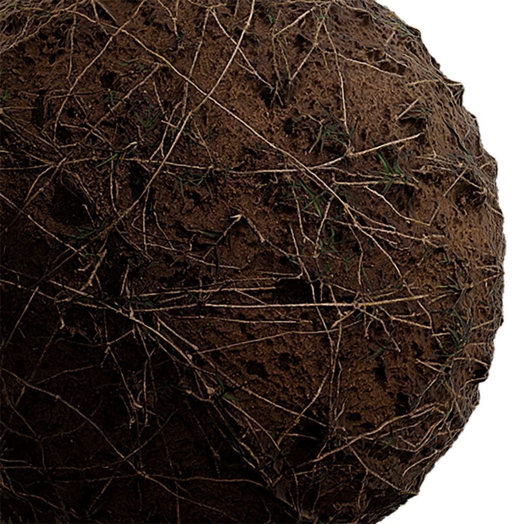 Grass Seamless Texture 2K - EXR 5 - JPG 5 Texture Texture_3