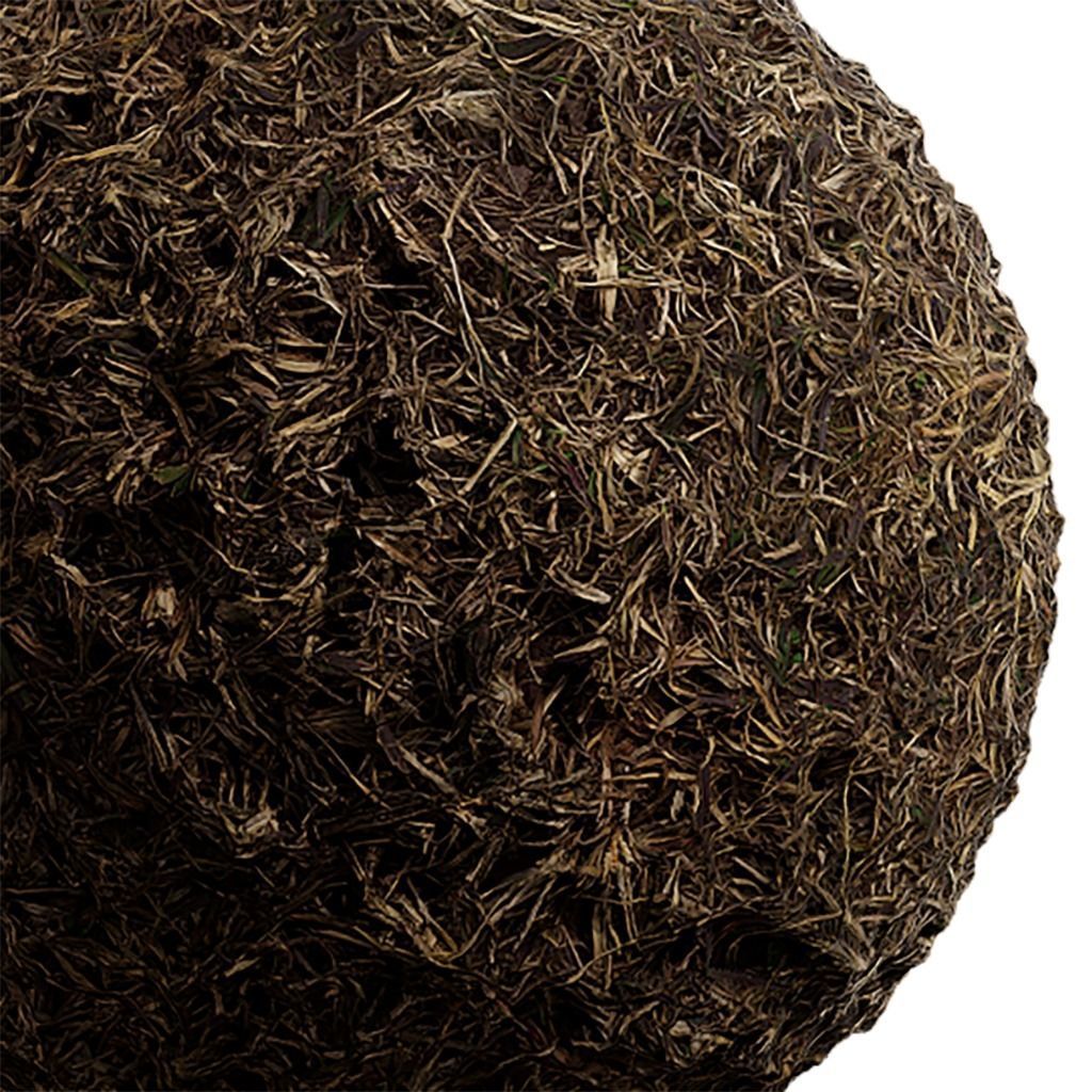 Grass Seamless Texture 2K - EXR 5 - JPG 5 Texture Texture_1