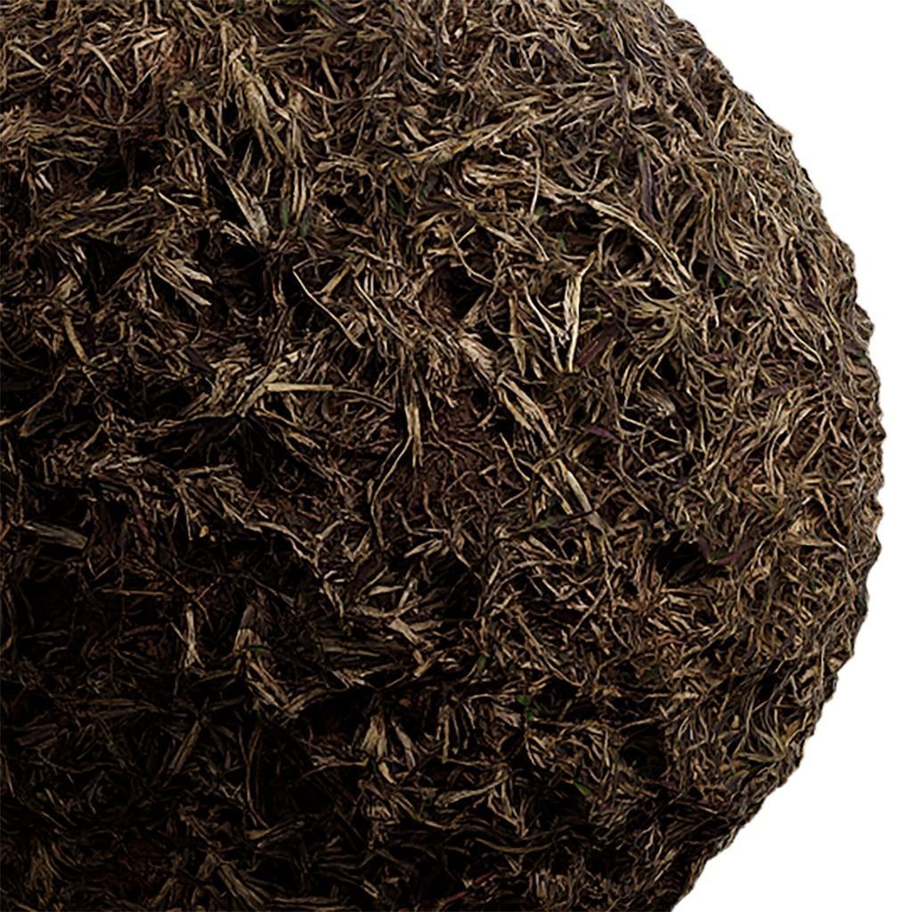 Grass Seamless Texture 2K - EXR 5 - JPG 5 Texture Texture_2