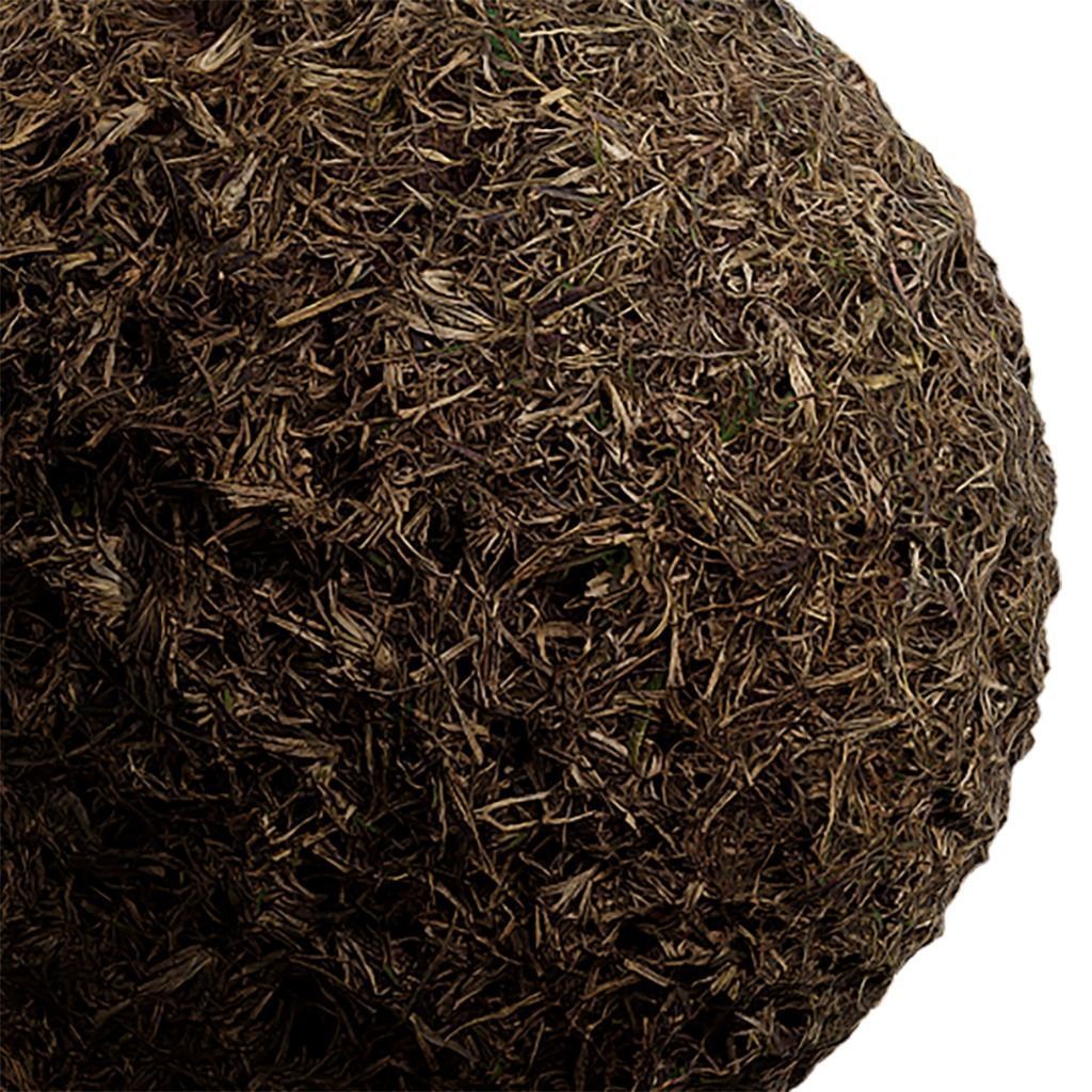 Grass Seamless Texture 2K - EXR 5 - JPG 5 Texture Texture_3
